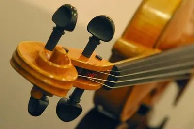 Warszawska Szkoła Muzyczna